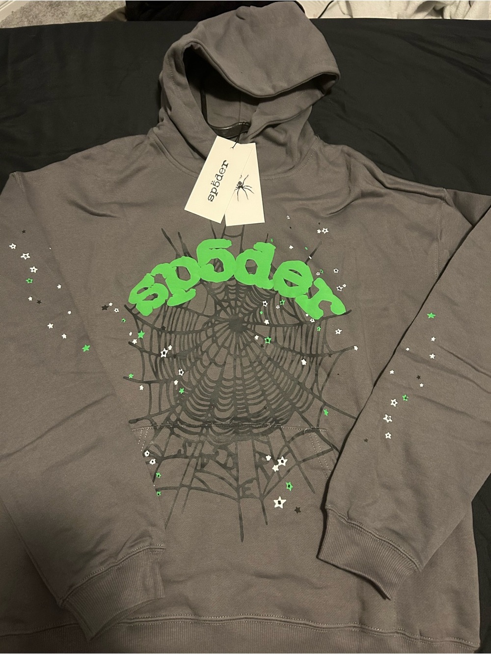 Spider Graphic Crewneck Sweatshirt in Gray with Green Logo